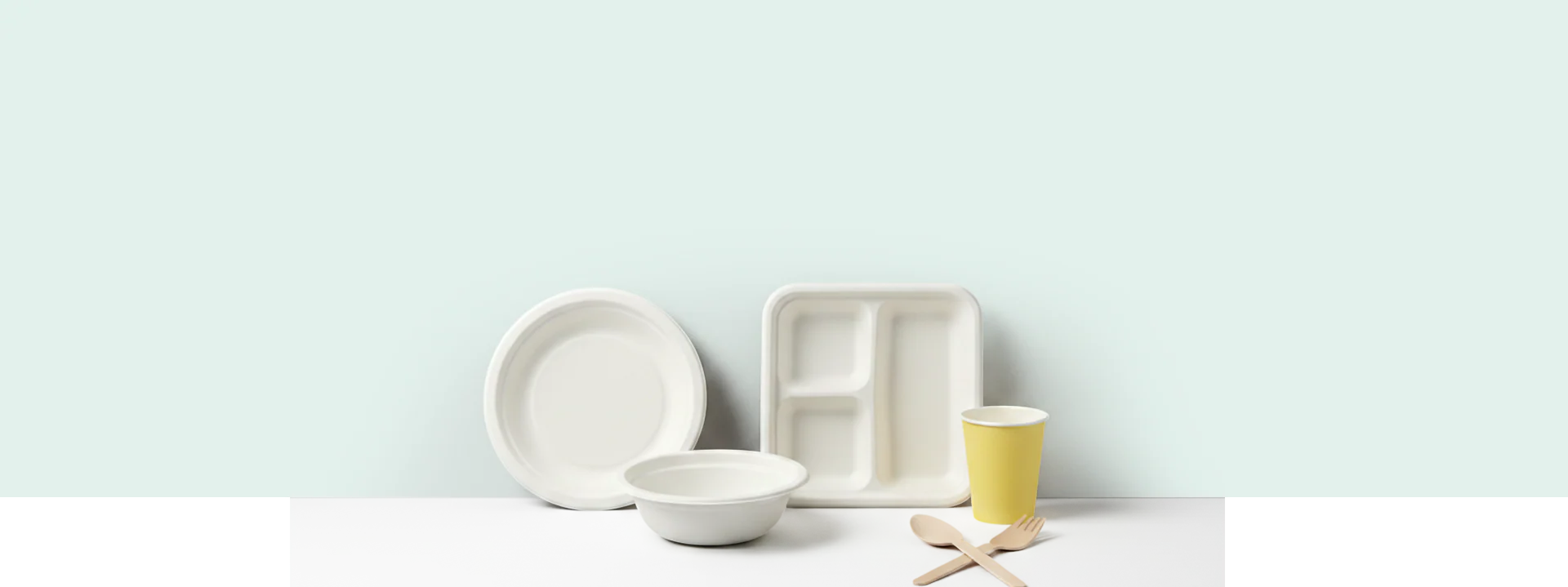 Disposable-Products Sugarcane Bagasse
